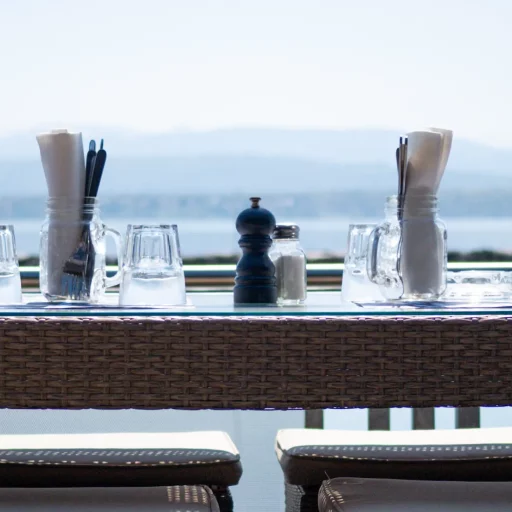 35 terrasse restaurant nautique nyon