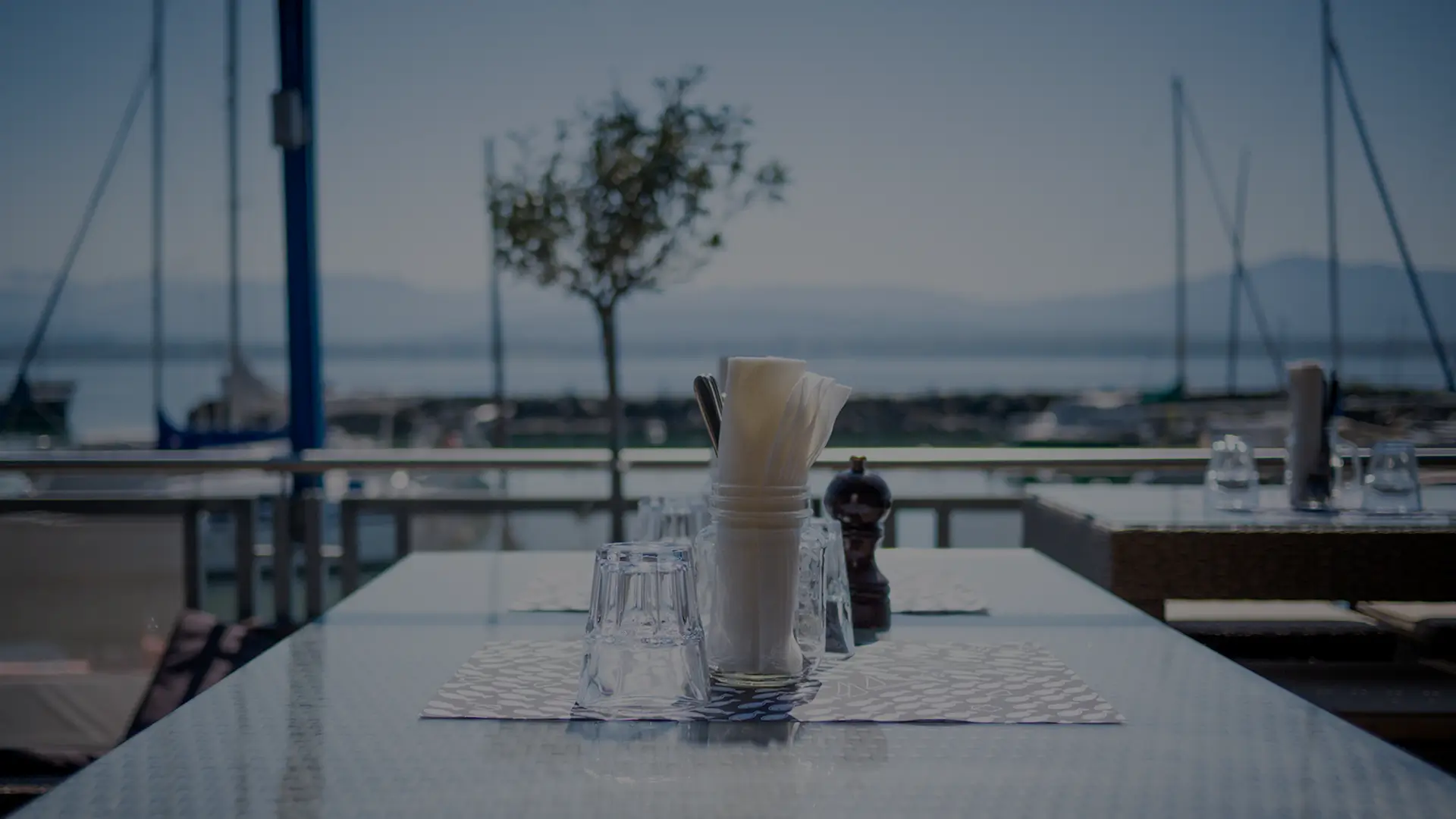 banniere-terrasse-la-nautique-nyon